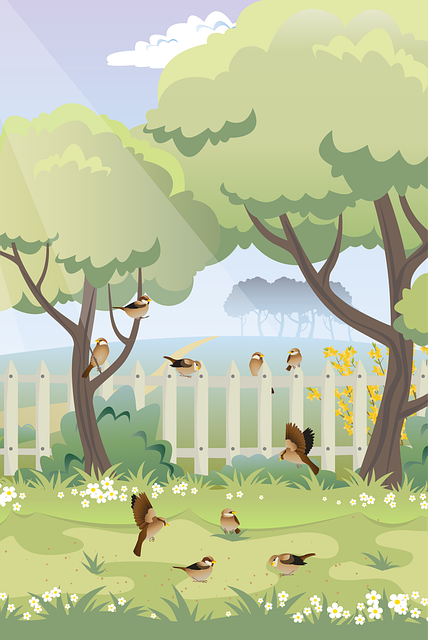 Coaching jardins, conseils sur mesure