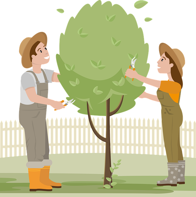 Jardinage responsable à l'aide de techniques douces